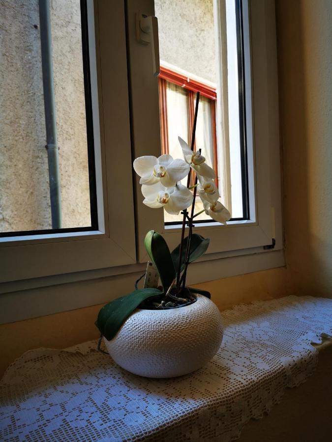 Casa Ida Villa Cannobio Esterno foto
